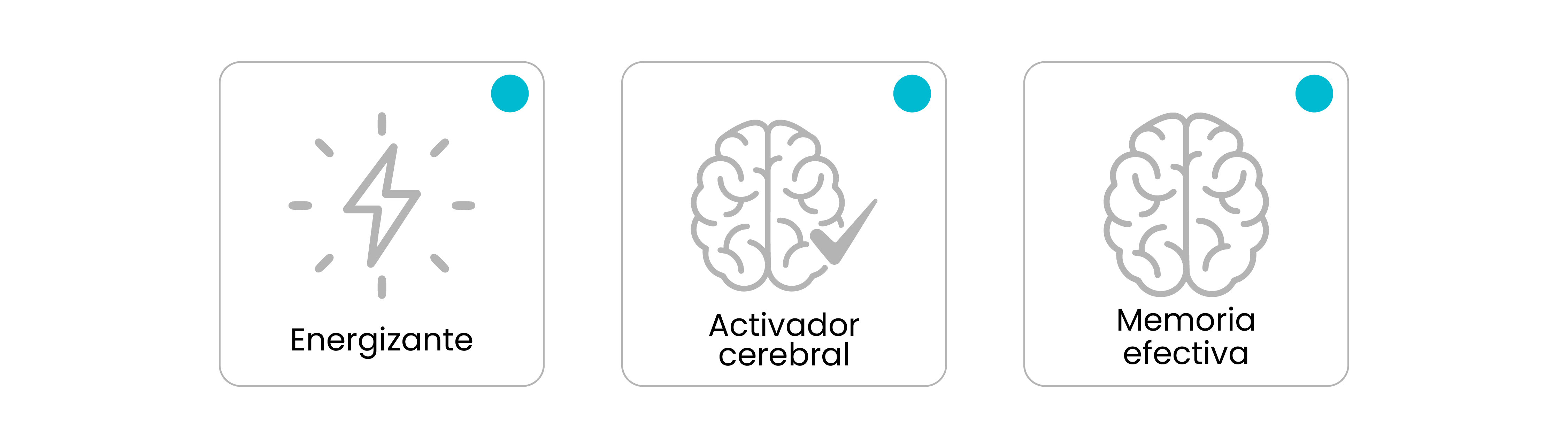 Pro Memory – Bio Swiss Lab®